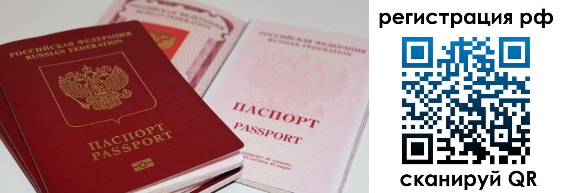 пропишу в квартире в Вязьме